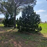 Respiro Di Maremma