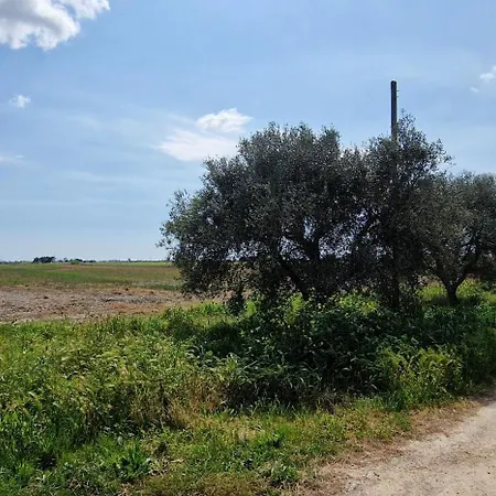 Respiro Di Maremma Marrucheto