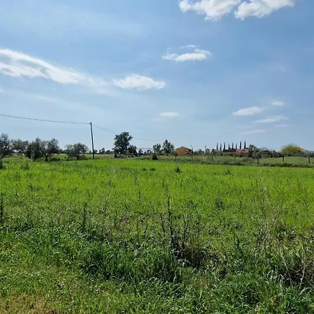 דירה Respiro Di Maremma Marrucheto