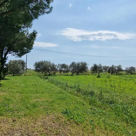 Respiro Di Maremma *