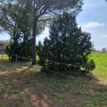 Respiro Di Maremma