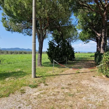 Respiro Di Maremma * Marrucheto