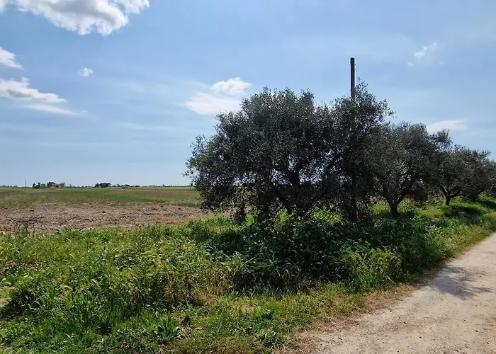 Respiro Di Maremma Marrucheto