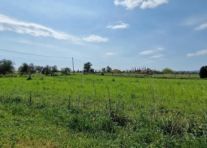 דירה Respiro Di Maremma Marrucheto