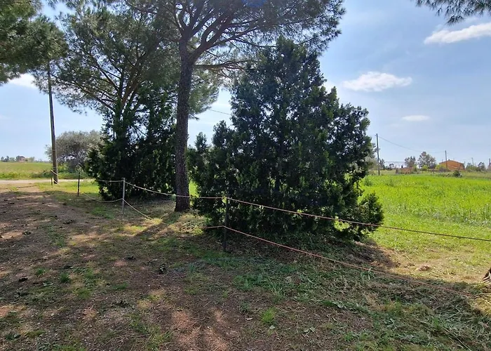 Respiro Di Maremma