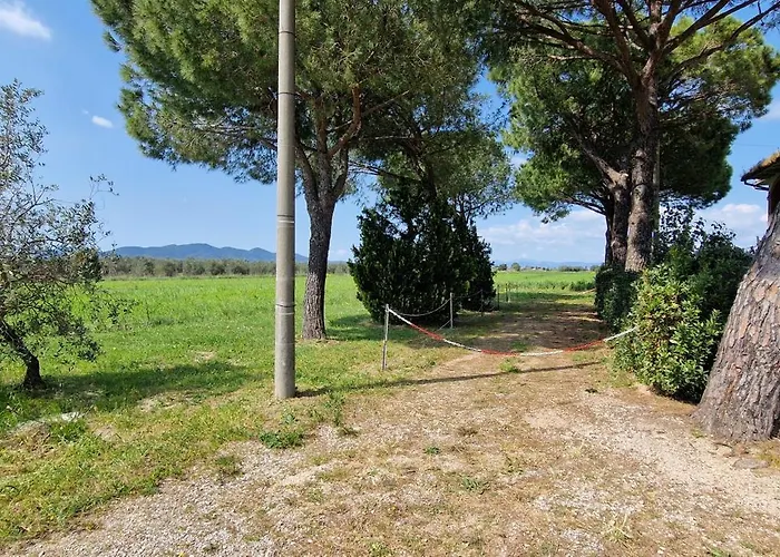 Respiro Di Maremma * Marrucheto